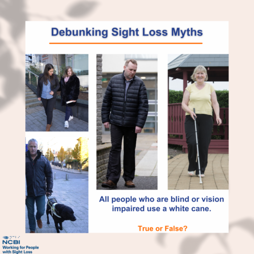 Our Debunking Sight Loss Myths image shows a collection of four pictures in which one woman is using a long cane, a man is walking without a cane, a woman is receiving a sighted guide from another woman and a man is using a guide dog. It includes our question: All people who are blind or vision impaired use a cane. True or false?