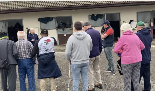 Members of the group are standing around and are seen from behind as they listen to a member of the stables' staff speaking to them