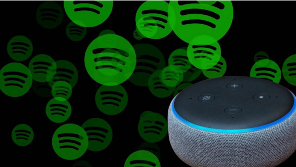 Echo Dot speaker amidst green Spotify logos