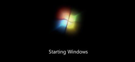 Windows logo above the text "Starting Windows"